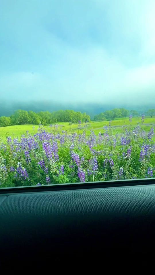 Post 3 by Chels Kasper🌊 | SAHM💕 on TikTok (video)
