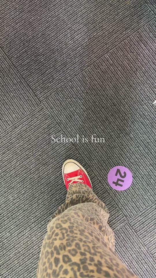 Post 5 by applesntiaras on TikTok (video)