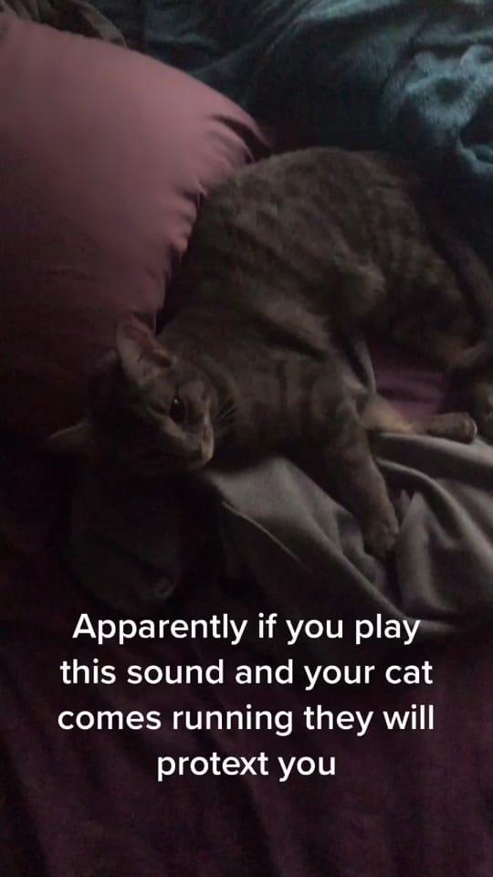 Post 10 by Bonnie on TikTok (video)