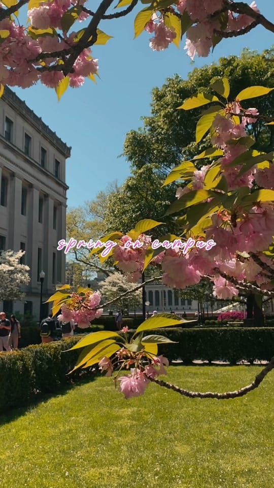 Post 4 by Sylvia Shanti on TikTok (video)