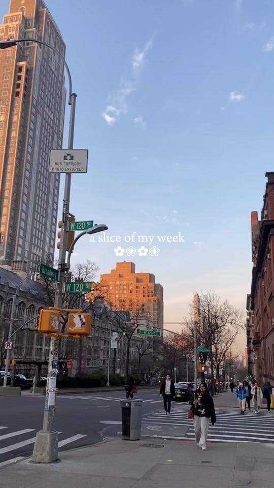 Post 9 by Sylvia Shanti on TikTok (video)