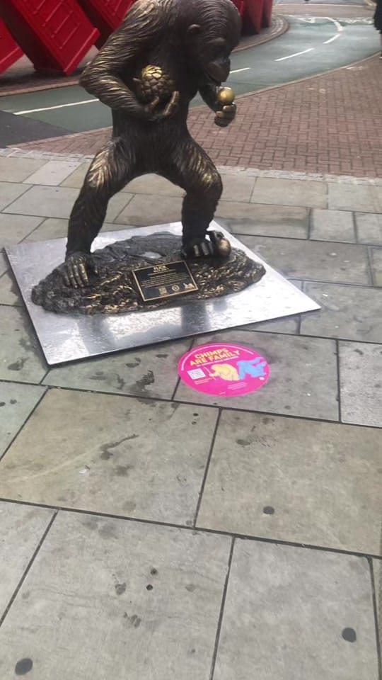 Post 7 by EduarDonegal on TikTok (video)