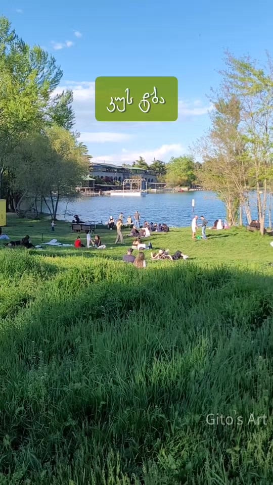 Post 7 by Tamo 🎨 on TikTok (video)