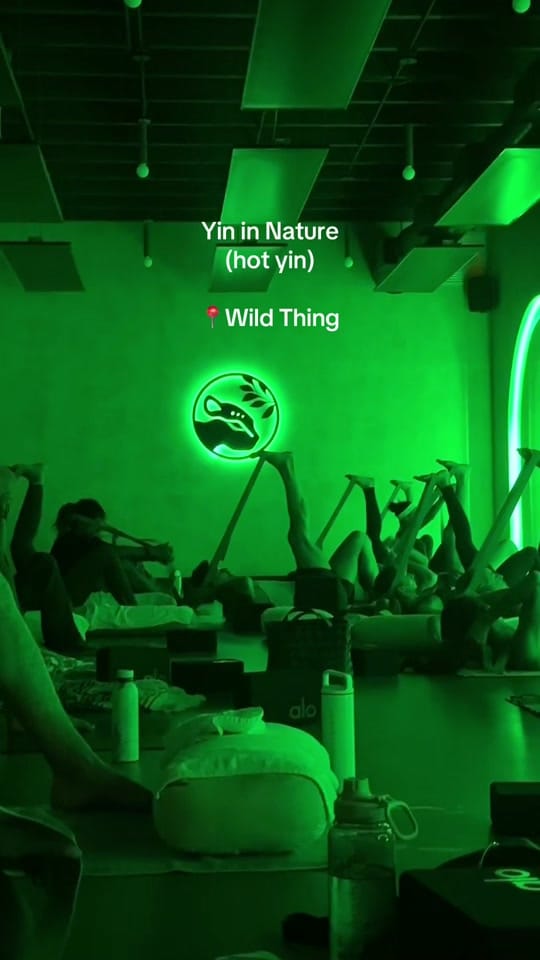Post 7 by Wild Thing 🐆 on TikTok (video)