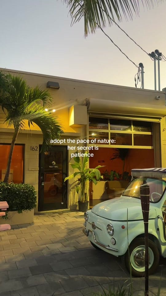 Post 6 by Wild Thing 🐆 on TikTok (video)