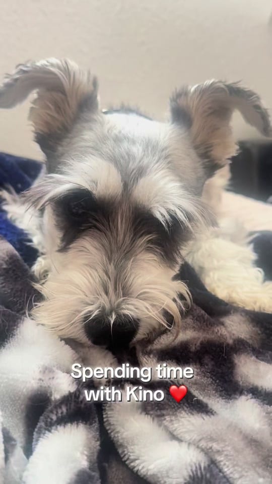 Post 2 by Brii_Brii 🧸💛 on TikTok (video)