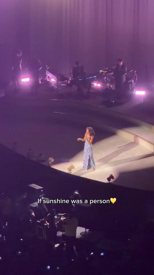 Post 4 by Experience London | 🇬🇧✈️🌍 on TikTok (video)