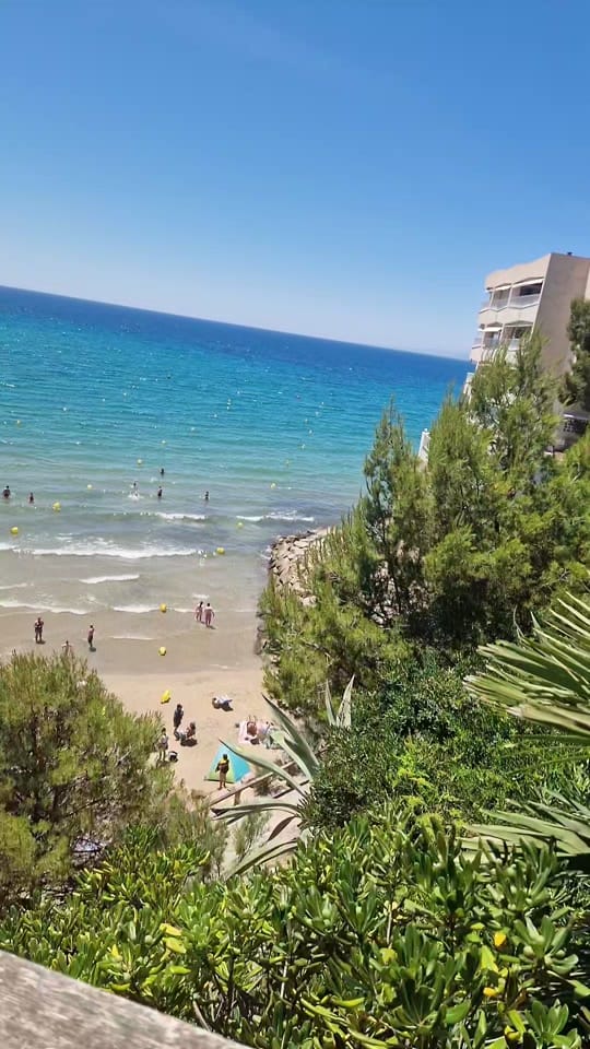 Post 2 by LottieEve on TikTok (video)