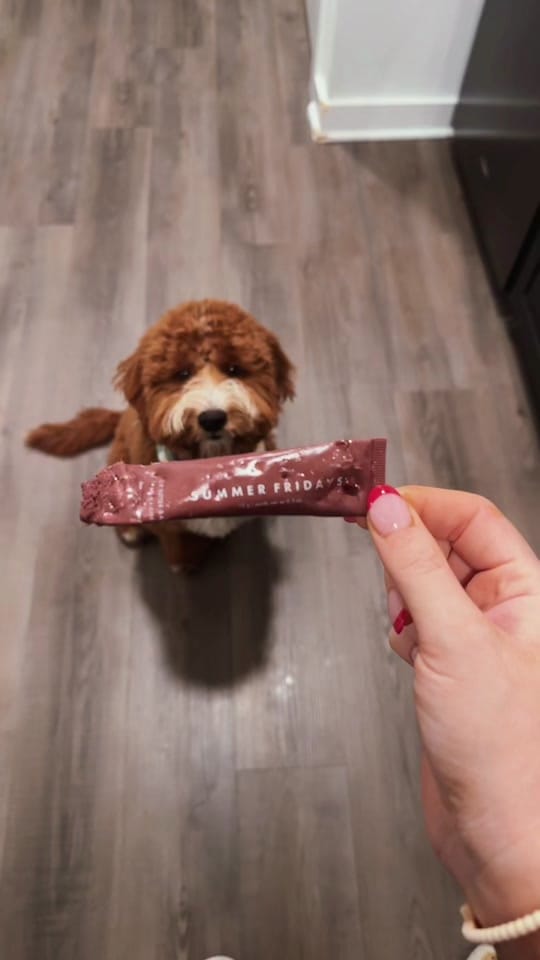 Post 4 by yourdailykailie on TikTok (video)