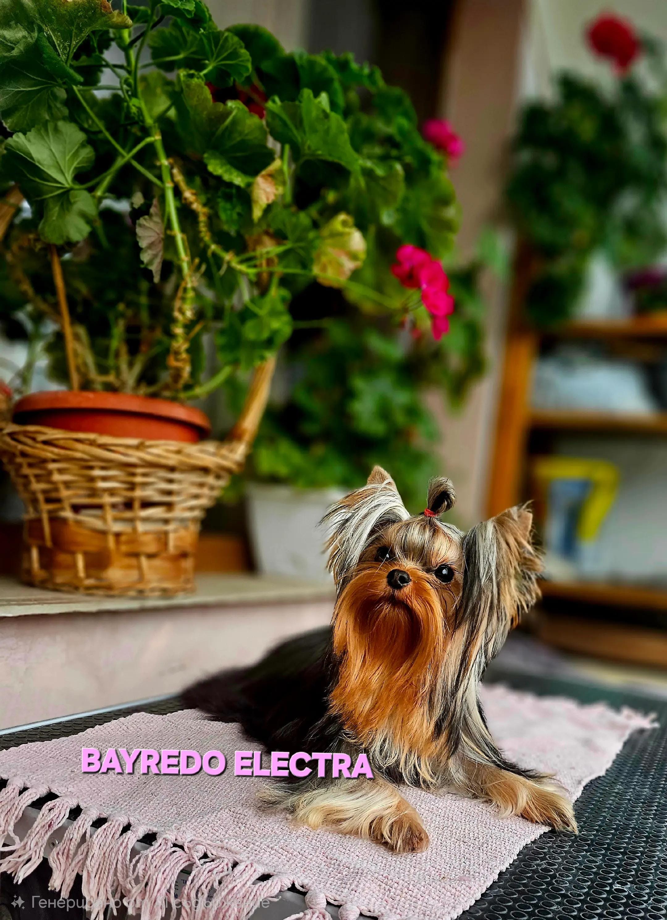 Post 5 by Ekaterina❤️ Ekaterina 🍀🍁 on TikTok (video)