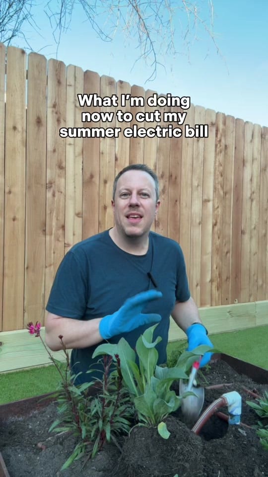 Post 9 by Dr_Boffone on TikTok (video)