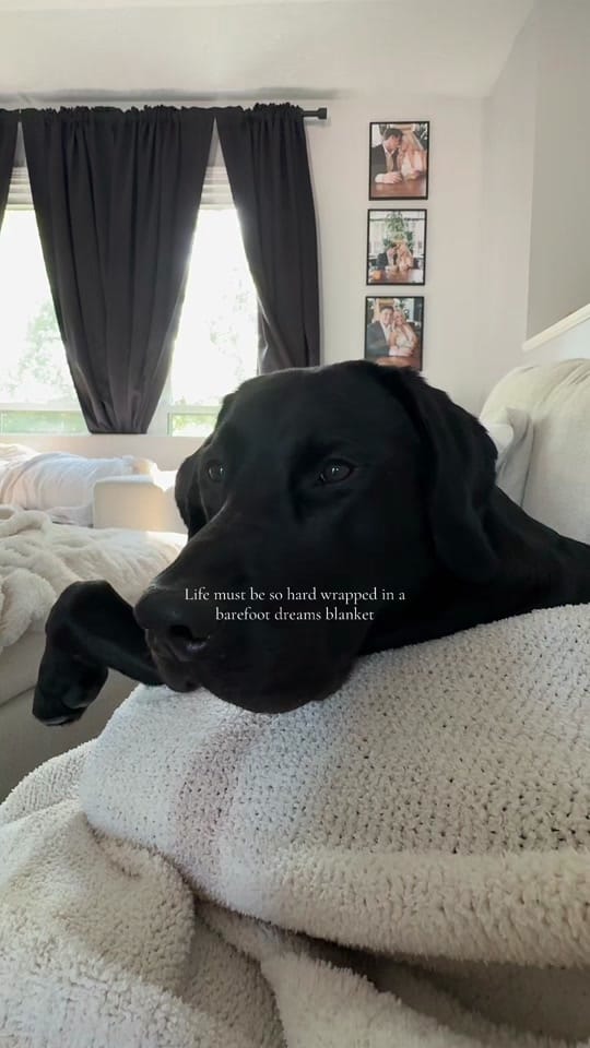 Post 9 by Sidney Sartori on TikTok (video)