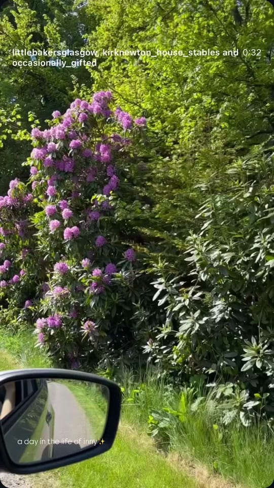 Post 5 by Little Bakers Glasgow on TikTok (video)