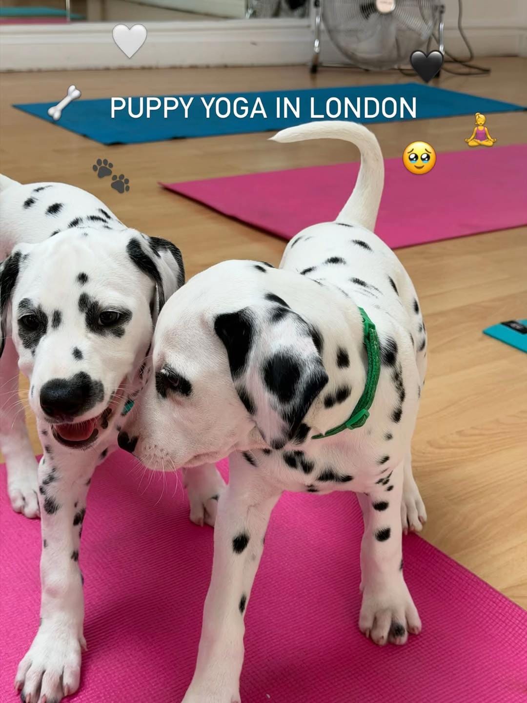 Post 7 by London Gem Explorers on TikTok (video)