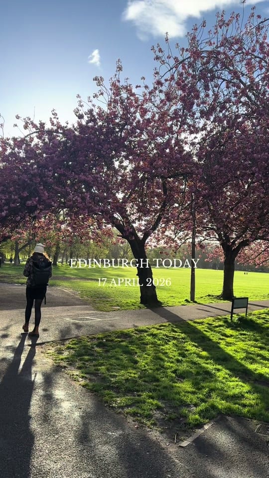 Post 8 by Edinburghtoday on TikTok (video)