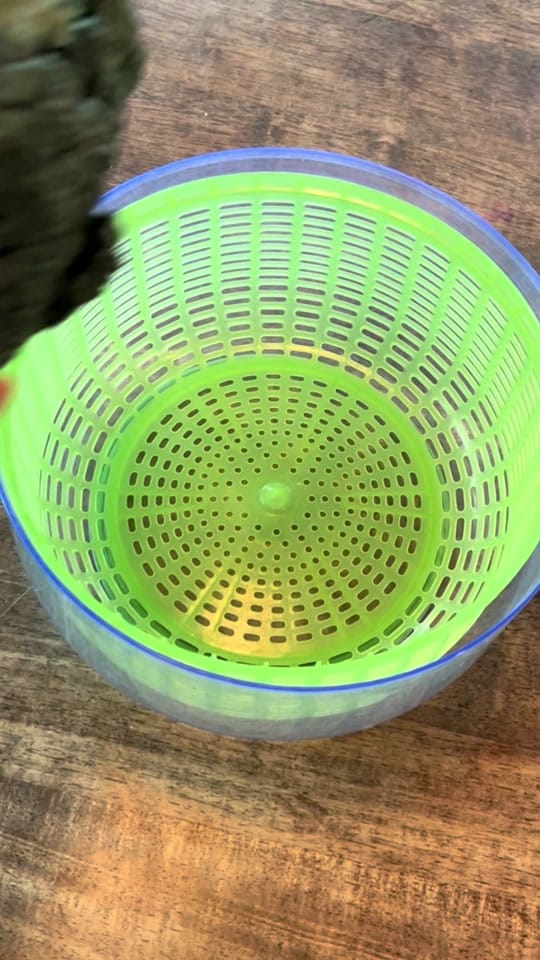 Post 6 by Cassie Stephens on TikTok (video)