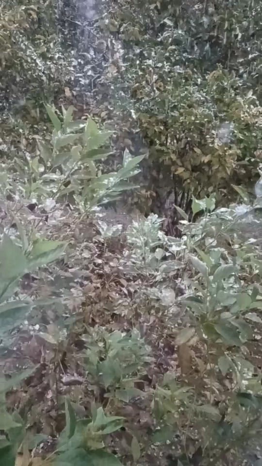 Post 8 by KrisD Cole on TikTok (video)
