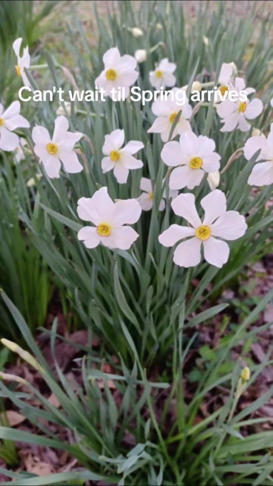 Post 4 by KrisD Cole on TikTok (video)