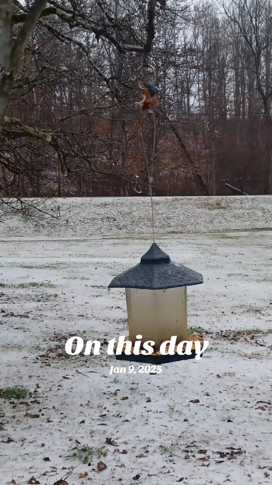 Post 6 by KrisD Cole on TikTok (video)