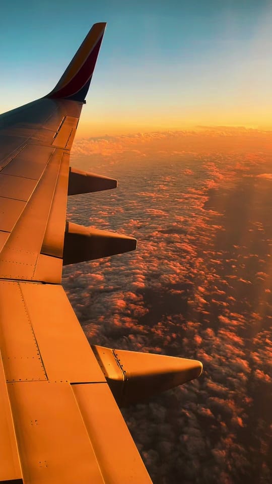 Post 2 by zainabjabak on TikTok (video)