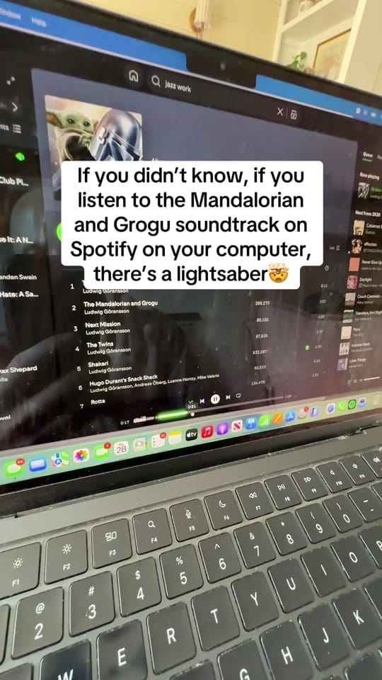 Post 6 by landenswainbooks on TikTok (video)