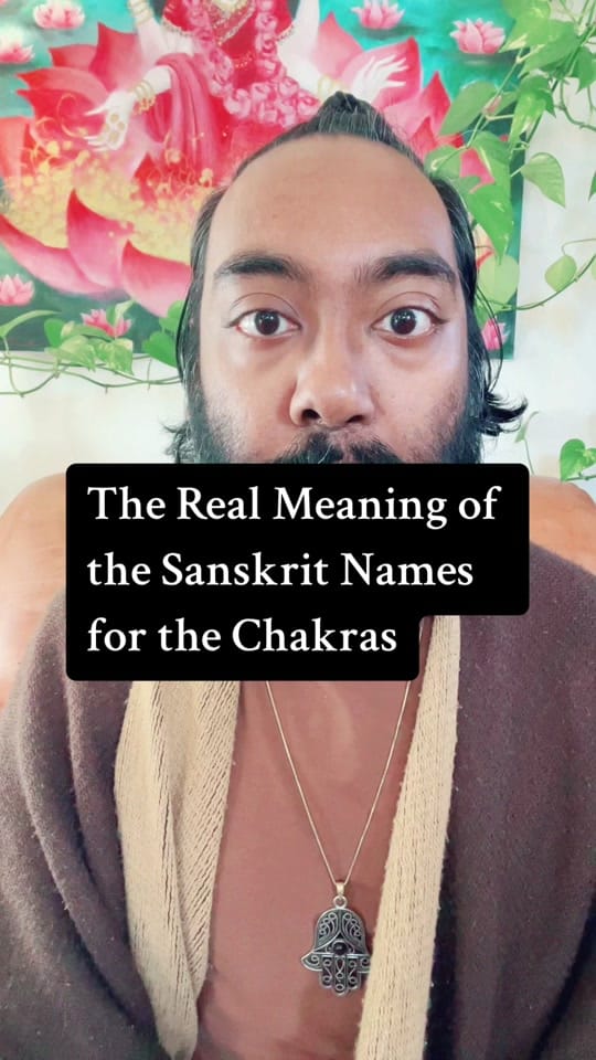 Post 8 by Shaman Nabeel Redwood on TikTok (video)