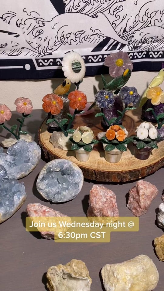 Post 2 by dancinginthemoonlite1 on TikTok (video)