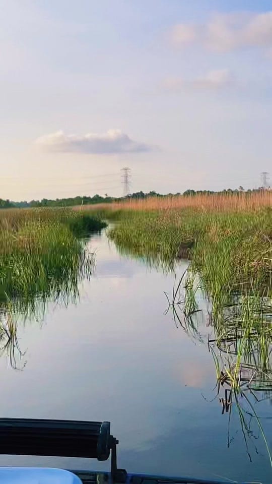 Post 8 by Jessica on TikTok (video)