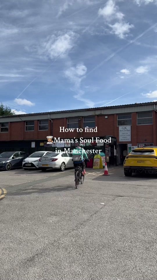 Post 9 by mamasoulfood on TikTok (video)