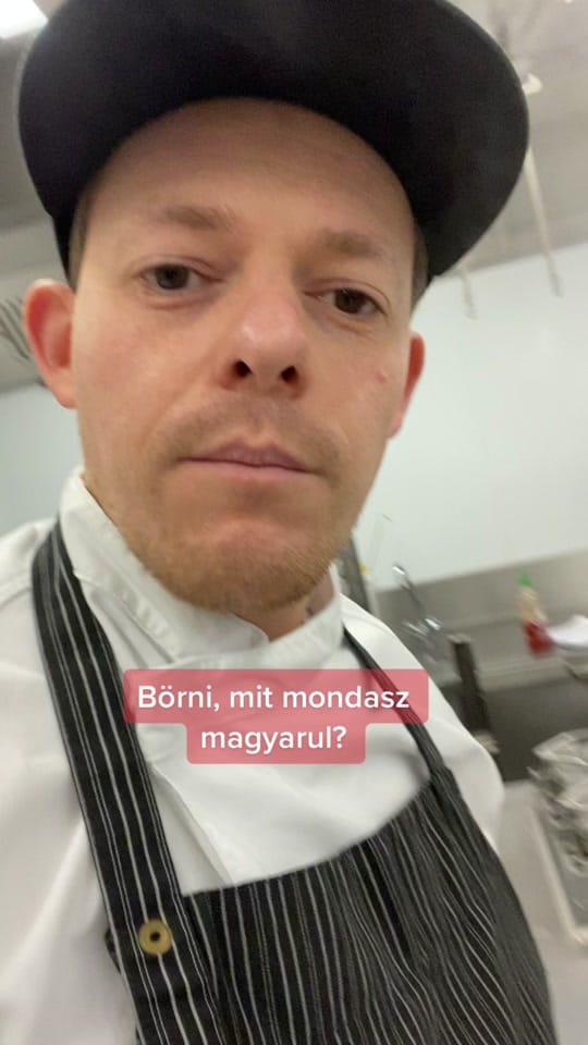 Post 8 by Laszlo Steiner on TikTok (video)
