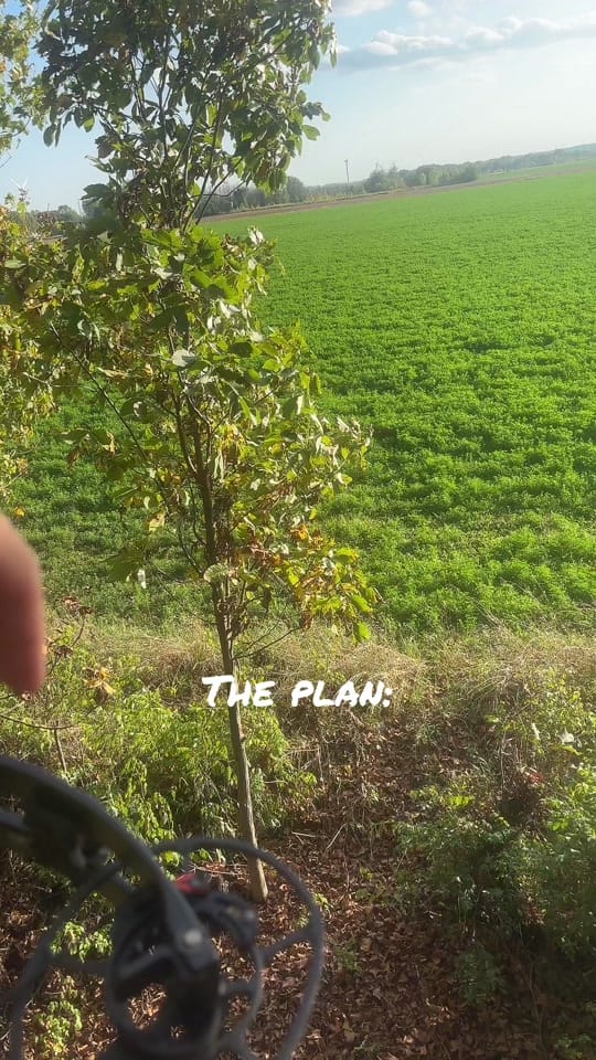Post 7 by bfunk2014 on TikTok (video)