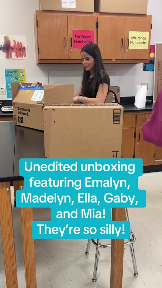Post 2 by Kelly Stephens 🧑‍🔬🧪 on TikTok (video)