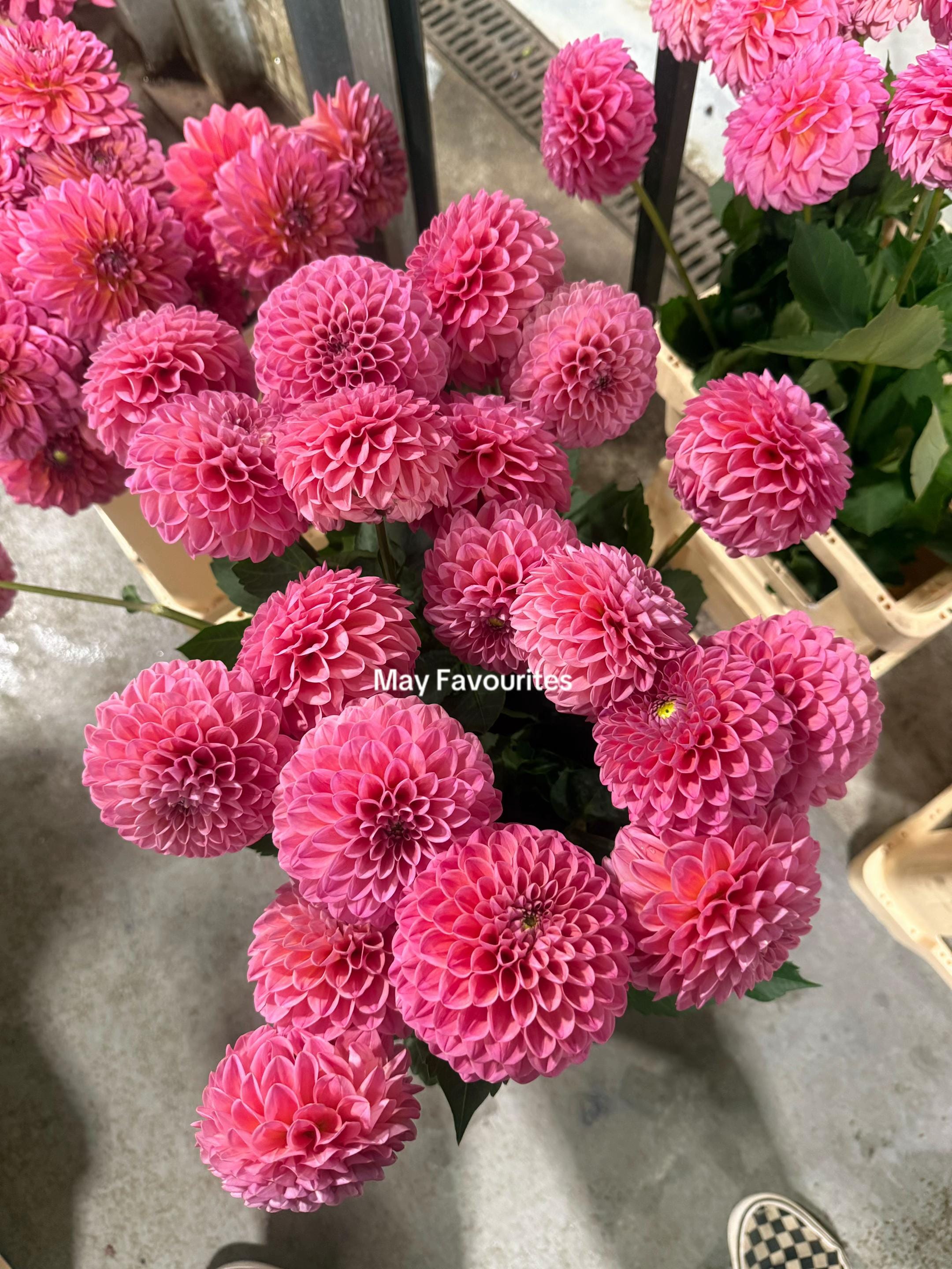 Post 1 by AislingFisherHome on TikTok (video)