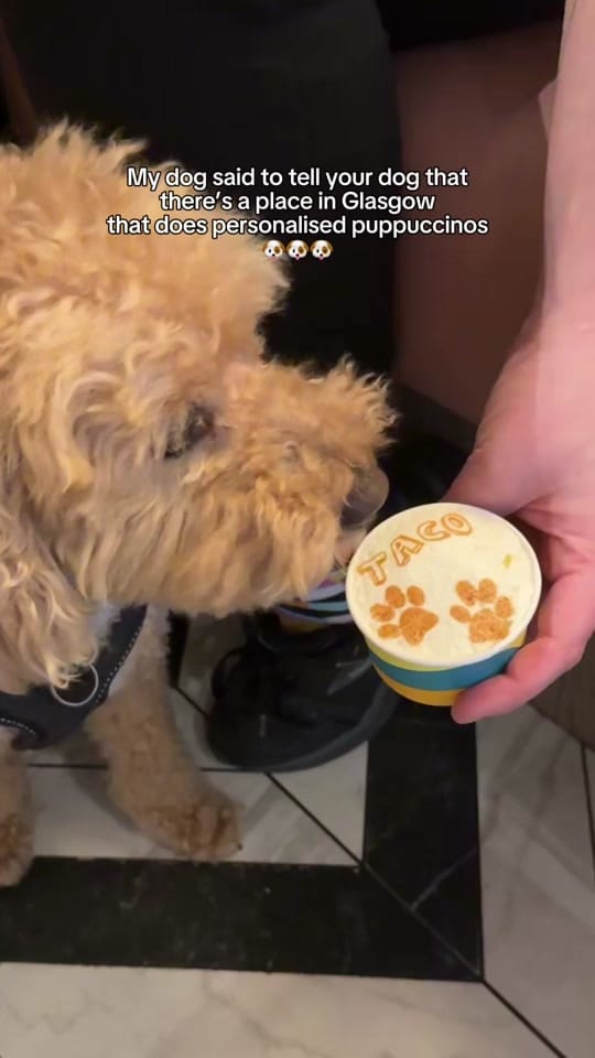 Post 8 by Vivi & Co | Brunch Glasgow on TikTok (video)