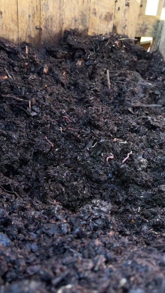 Post 7 by generation.soil on TikTok (video)