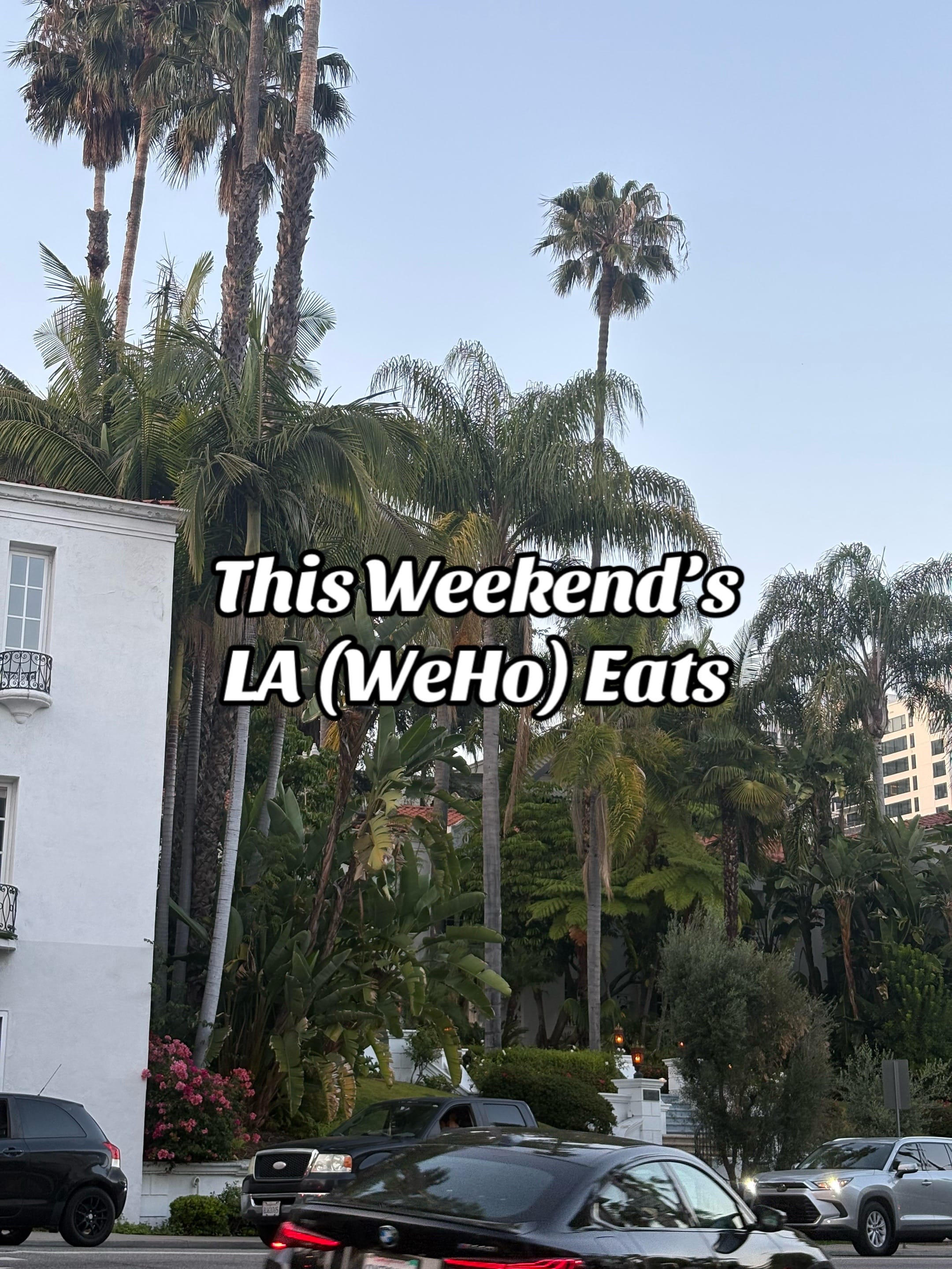 Post 5 by Modern Martha on TikTok (video)