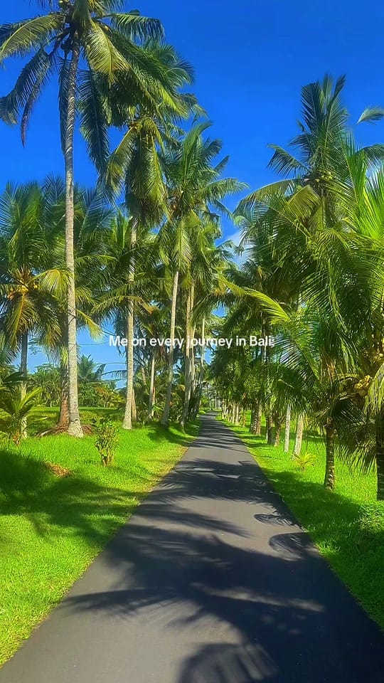 Post 7 by leye | travelling somewhere ✈️ on TikTok (video)