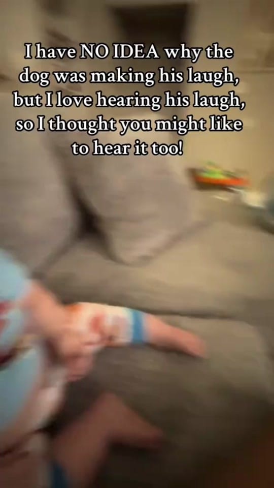 Post 3 by Jenn1CallAway on TikTok (video)