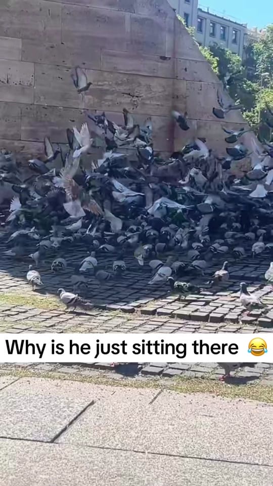 Post 1 by 🅺🅴🅻🅻🆈 🖤 on TikTok (video)
