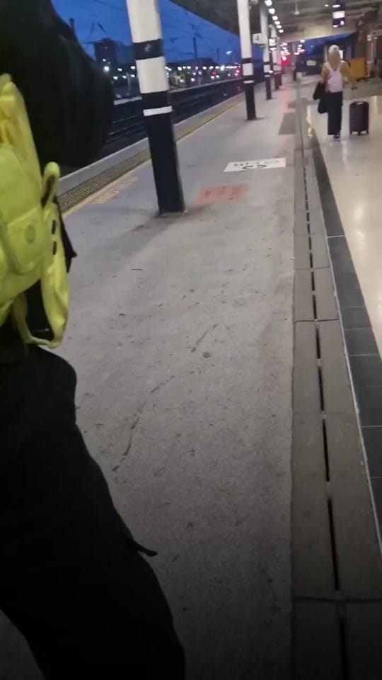 Post 1 by Fiona Rose Diamond on TikTok (video)