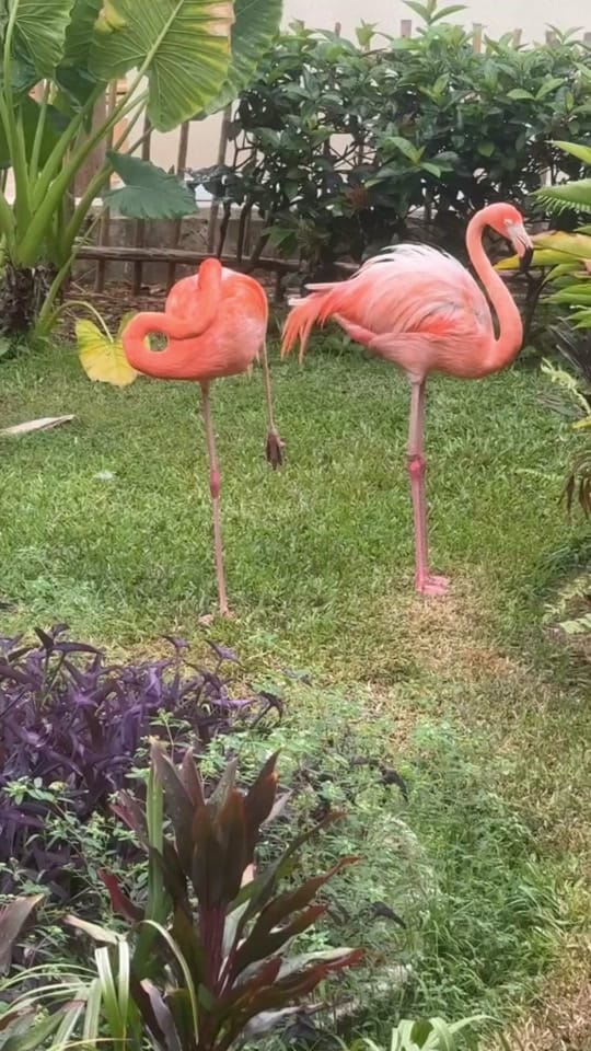 Post 4 by Jessie Greiner|Travel Agent ✈️ on TikTok (video)