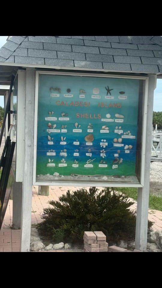 Post 3 by Jessie Greiner|Travel Agent ✈️ on TikTok (video)