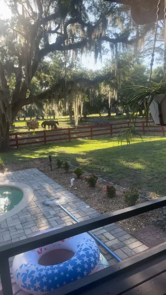 Post 7 by Jessie Greiner|Travel Agent ✈️ on TikTok (video)