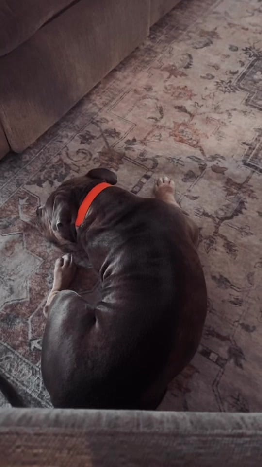 Post 6 by 24_acre_dreams on TikTok (video)