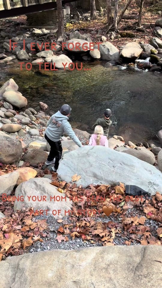 Post 5 by 24_acre_dreams on TikTok (video)