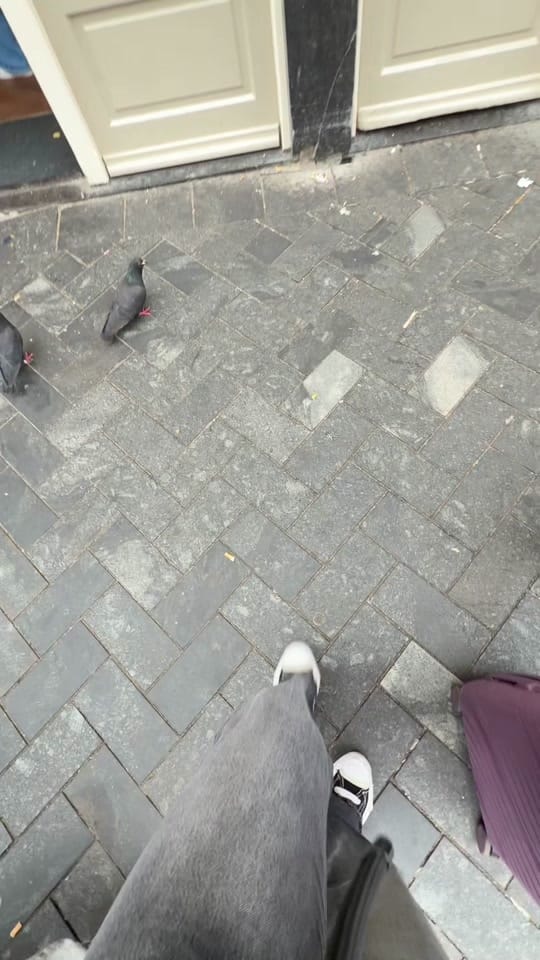Post 6 by Gems🌻 on TikTok (video)