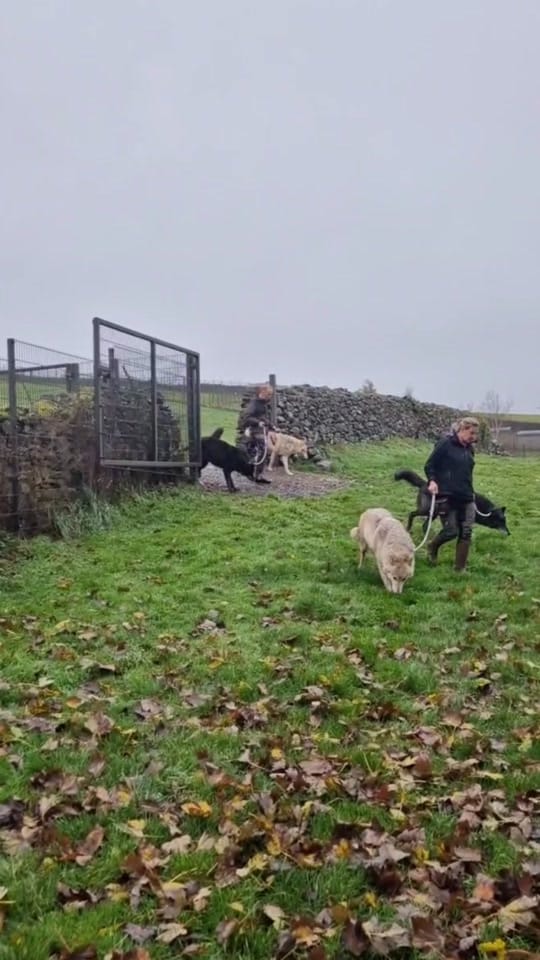 Post 9 by AdventuresOfTomorrow on TikTok (video)
