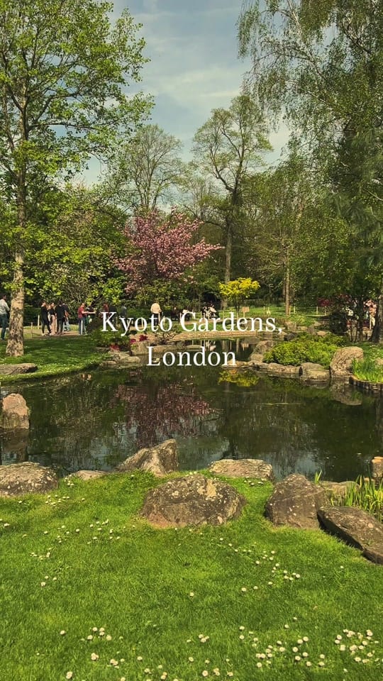 Post 10 by AdventuresOfTomorrow on TikTok (video)