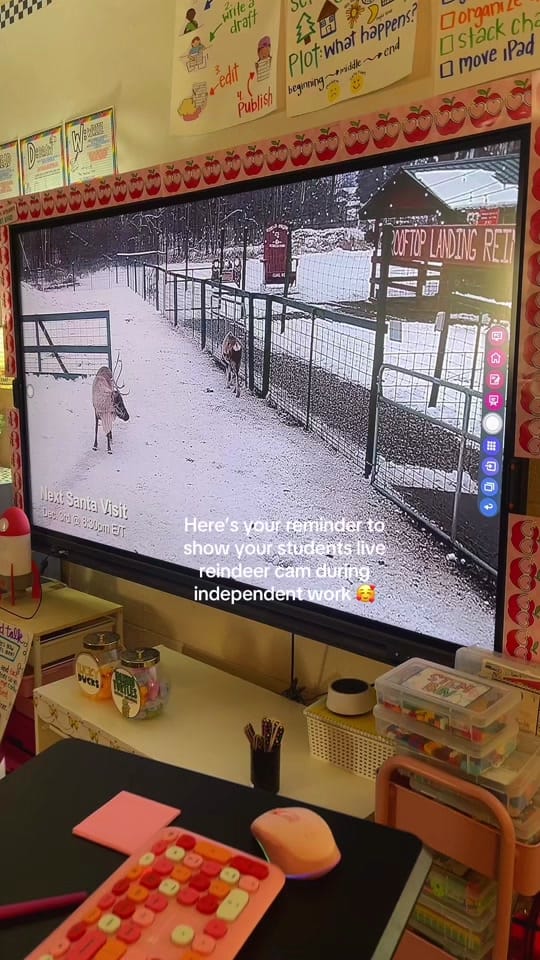 Post 7 by teachingwithmonique on TikTok (video)
