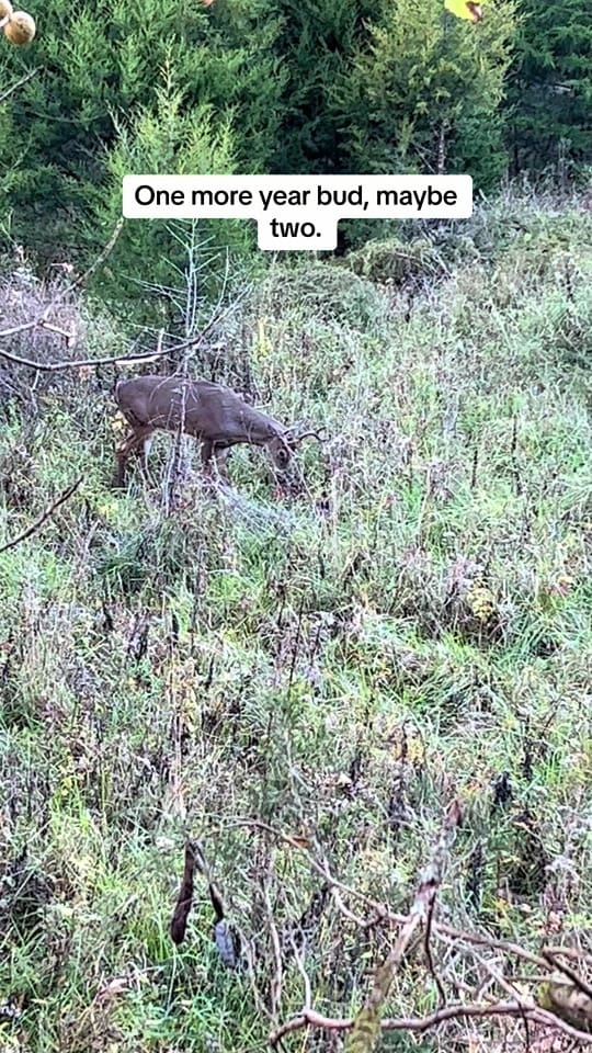 Post 7 by MrBall@corbin on TikTok (video)